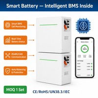 Pour Power Wall 51.2V 280Ah 14.33kwh 16kwh 20kwh, Batterie de stockage d'énergie solaire domestique empilable avec Cache anti-poussière, Protection incendie et Roues