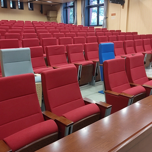 Nuevas Innovaciones en Asientos Plegables de Madera para Auditorios, Salas de Conferencias y Aulas - Product Image 3