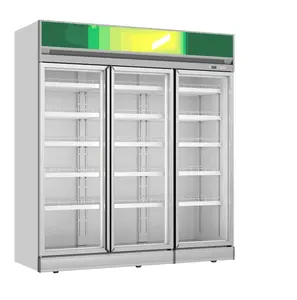 Inteligente exposição de poupança de energia refrigerador duplo compressor ciclo refrigeração equipamentos frigoríficos e congeladores profundos