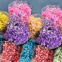 HFloral Fabricant de fleurs conservées et séchées Fourniture du souffle de bébé préservé pour la décoration de mariage