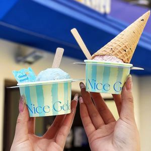 Vasos de Helado Personalizados, Tazones de Helado, Conos de Helado, Anillos Antigoteo, Empaque Comercial para Llevar y Impresión de Logotipo - Product Image 6