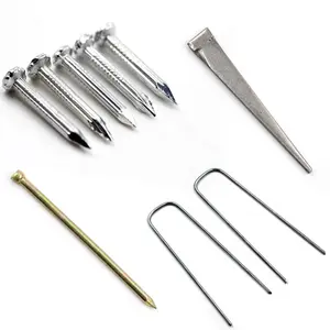 Professional Manufacturer Iron/Steel Nails Factory