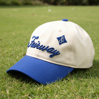 Casquettes personnalisées en gros avec logo OEM, casquettes vierges à faible MOQ, casquettes de baseball en coton bon marché pour hommes et femmes