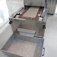 Sécheur industriel à micro-ondes pour herbes, machine de séchage en tunnel pour larves d'insectes BSF, sécheur à bande pour spiruline, larves d'insectes, grillons, vers de farine