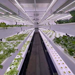 Système de culture hydroponique de micro-légumes Skyplant pour intérieur commercial avec pompe et lumière LED, structure stable, facile à assembler - Product Image 6