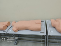 Maniquí de venopunción de PVC de función completa, modelo anatómico CPR Torso con características de inyección para fines de entrenamiento
