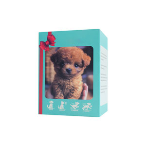 Hot Bán Cross-Biên Giới Thực Tế của Tôi Robot Con Chó Con Siêu Mềm Sang Trọng Con Chó Búp Bê Hạt Nano Điền Có Thể Điều Chỉnh Chiều Cao 11-30Cm - Product Image 6