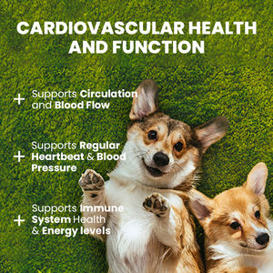 Productos para Mascotas, Suplementos y Vitaminas para Perros, Tabletas para la Salud del Corazón, Alivio del Estrés Cardíaco, Alimento Saludable, Golosinas para Mascotas, Cuidado <span class=keywords><strong>de</strong></span> Mascotas - Product Image 4