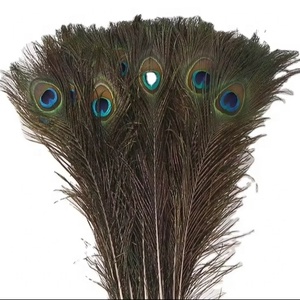Peacock lông nhuộm Mô Hình DIY Wedding party Carnival trang trí nội thất Nguồn cung cấp nghệ thuật bán buôn - Product Image 1