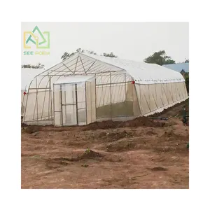 Best Selling Hydroponic winter season temperature control agriculture commercial greenhouse climate control system