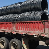 Fil de fer noir Q195 Q235 pour l'exportation usine, matière première pour clous et agrafes en fer