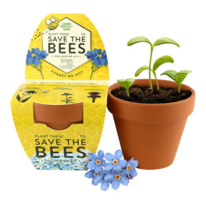 Kit de culture vertical intérieur classique Mini Forget-Me-Not Save the Bees Home Garden avec jardinières en <span class=keywords><strong>terre</strong></span> <span class=keywords><strong>cuite</strong></span> Pots de fleurs et jardinières - Product Image 1