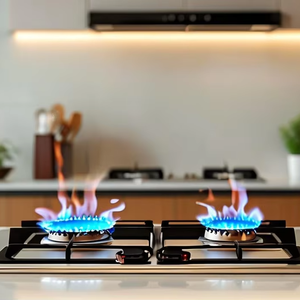 Réchaud à gaz haute pression en acier inoxydable à 2 brûleurs pour extérieur, <span class=keywords><strong>maison</strong></span>, usage commercial, comptoir électrique, double brûleur à gaz portable au <span class=keywords><strong>butane</strong></span> - Product Image 1