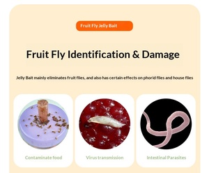 Piège à moucherons et à mouches des fruits réutilisable avec technologie double attraction, papier collant jaune fluorescent - Product Image 4