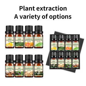 Oli Essenziali Puri al 100% all'Ingrosso, Collezione Naturale <span class=keywords><strong>di</strong></span> Lavanda, Menta Piperita, Geranio e Lime per Massaggi e Relax - Product Image 2