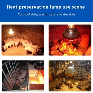 R125 animali all'ingrosso porcellino Broiler sonno pollo BirdFarmEquiment/Pet lampada di calore impermeabile in vetro duro Sauna casa rubino - Product Image 6