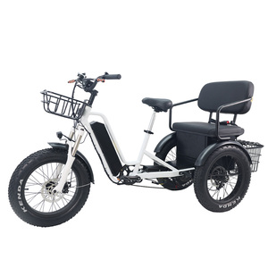 <span class=keywords><strong>Tricycle</strong></span> <span class=keywords><strong>adulte</strong></span> de haute qualité à 3 roues de 20 pouces avec pneus larges, moteur à moyeu arrière, batterie au lithium <span class=keywords><strong>pour</strong></span> femmes, seniors et hommes - Product Image 2