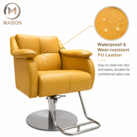 Nouvelle Chaise de Barbier Commerciale Spéciale, pour Teinture et Permanente, en Acier Inoxydable, avec Fonction Pivotante et Relevable, Design Moderne, Marque Mason