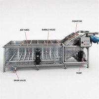 Automatische zachte rollende wrijvingsdiepreinigingsmachine voor visfilets, groenten, fruit, knollen, 304 roestvrij staal, bubbelwasmachine