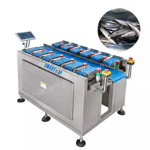 Semi Automatic Weighing 12 Head Fish Fillet Linear Belt Combination Weigher Vacuum Packaging Machine