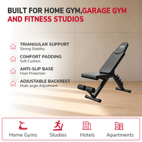 Banc de musculation réglable de style nouveau avec cadre en acier et siège ajustable pour salle de sport intérieure, couleur personnalisable, support pour grossiste