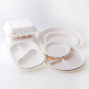 Platos desechables sostenibles | 100% Platos de fibra de caña de azúcar natural - Product Image 6