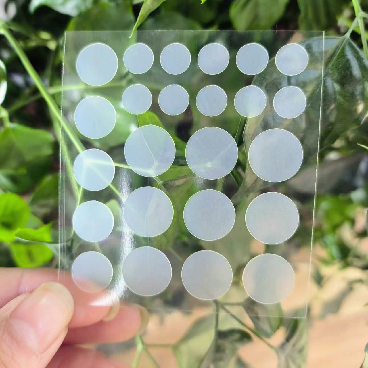 Transparent