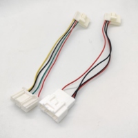 6098-5622 AMP1452349-1 Flry Arnés de Cables Automotrices de 10 Pines, Conector Macho y Hembra