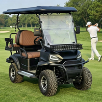 Voiture de golf 4 places personnalisée en usine, avec couleur de carrosserie et configuration personnalisables, buggy de chasse de luxe surélevé