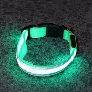 Collier LED rechargeable pour chien, vente en gros, brille dans la nuit, colliers pour chiens - Product Image 2