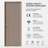 Porte intérieure de chambre personnalisable en couleur avec surface lisse et facile à nettoyer pour une utilisation silencieuse et une confidentialité optimale dans les chambres d'hôtel