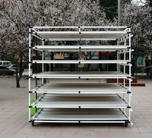 Lyine 6-2 jardín interior Microgreen siembra plantación <span class=keywords><strong>germinar</strong></span> bandejas de forraje hidropónico con luces LED de cultivo - Product Image 4