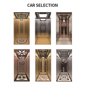 Elevador de pasajeros hidráulico para apartamento <span class=keywords><strong>Maite</strong></span> 2-3m 300kg 450kgs Elevadores de acero inoxidable para <span class=keywords><strong>casa</strong></span> pequeña de pasajeros Ac - Product Image 6