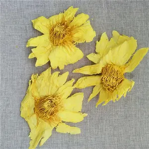 A granel Nymphaea Caerulea fragante flor de loto seca amarillo dorado flor de loto brotes de té