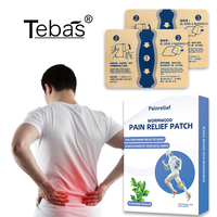 Lijitang ODM OEM Meilleures ventes : Patch naturel anti-douleur musculaire et lombaire, soulagement en 8 heures