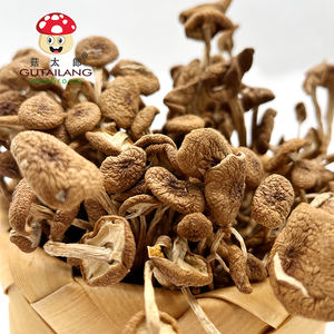 Vente en gros d'usine de champignons séchés Agrocybe <span class=keywords><strong>aegerita</strong></span> pour manger des champignons d'arbre à thé séchés aliments biologiques emballage personnalisé - Product Image 5
