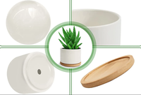 Pots de fleurs modernes en céramique de 11 oz pour plantes succulentes, avec logo personnalisé, écologiques, pour la maison, avec plateau en bambou, pour le jardin, directement de l'usine