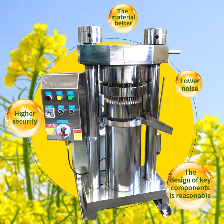 Olive Oil Machine Italy Palm Oil Fractionation Machine Hot Sale Cold Hydraulic Sesame Oil Press Machine