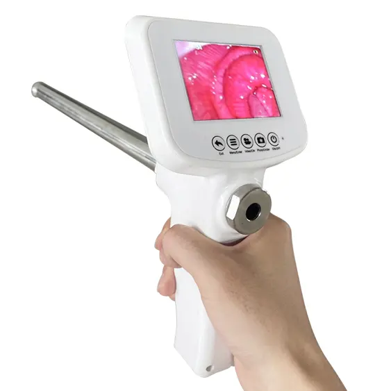 Hot Sale CE Veterinary 450mm Insemination Instrument Gun With Gamera for clinic