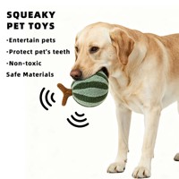 Fabrikant Kleine MOQ Op Maat Watermeloen Vormig Huisdier Pluche Speelgoed Zacht Bijtbestendig Hond Kat Interactief Fruit Gevuld Speelgoed