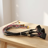 30 ans d'expérience professionnelle dans la fabrication sur mesure de faisceaux de câbles en PVC noir et rouge avec connecteurs Xt60/Xt30/Y pour applications électroniques - Service OEM/ODM TUV
