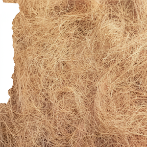 Fibre de coco traitée sans humidité, fibre de coco durable et de haute qualité pour les applications industrielles domestiques et d'exportation - Product Image 1