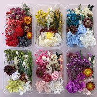 Große Umschläge von getrockneten konservierten Blumen Blumen für Kunst handwerk Kerzen seifen harz Füllung Hochzeits dekoration Blumen arrangement