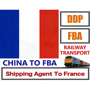 Servicio de Logística Express Puerta a Puerta de China a India, Agente de Carga UPS FedEx DHL, Agente de Envío - Product Image 1