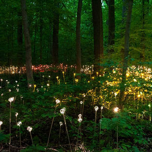 Ip68 không thấm nước lớn ngoài trời cảnh LED sợi quang hoa đèn sáng tạo cảnh quan ánh sáng với PMMA cơ thể - Product Image 3