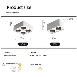 <span class=keywords><strong>Spot</strong></span> <span class=keywords><strong>LED</strong></span> COB apparent en fer avec température de couleur 3000K-6000K pour l'éclairage de plafond des halls d'entrée, balcons, couloirs et couloirs intérieurs - Product Image 4