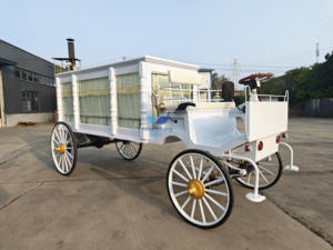 Cercueil funéraire à traction animale (cheval) noir avec auvent pour <span class=keywords><strong>chauffeur</strong></span>, dédié aux salons funéraires - Product Image 2