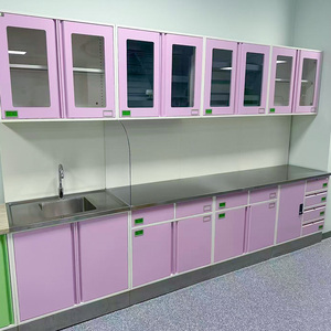 تصميم مجاني لخزانة مختبر طبية للمستشفيات والمدارس، طاولة مختبر مثبتة على الأرض من الفولاذ الكامل، مقاومة للأحماض والقلويات - Product Image 2