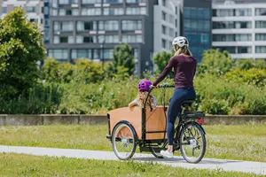Ucuz 3 tekerlekli üç tekerlekli bisiklet kargo bisiklet fiyat/cargobike fabrika/çocuk kargo üç tekerlekli bisiklet hollandalı aile e teslimat avrupa stok