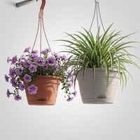 Hollen Hollow-leaf Spider Plant Hanging Basket Resin Breathable Wall-mounted Railing Flower Pot Balcony Pothos Home Decor